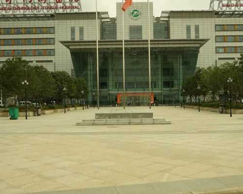 试管婴儿成功率关键因素与精子质量影响分析