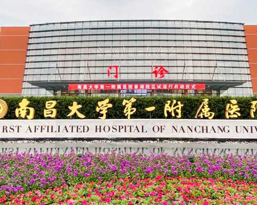 <strong>广州中医药大学第一附属医院试管婴儿服务全面解析与助孕支持</strong>