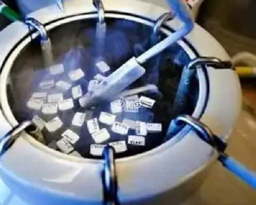 人工助孕能否实现同卵双胞胎？专家解析试管双胞胎可能性