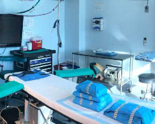 泰国供卵试管婴儿指南：选择优质卵妹与高成功率方案